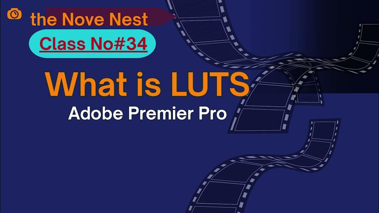 Colour Grading with LUTs: A Quick Guide